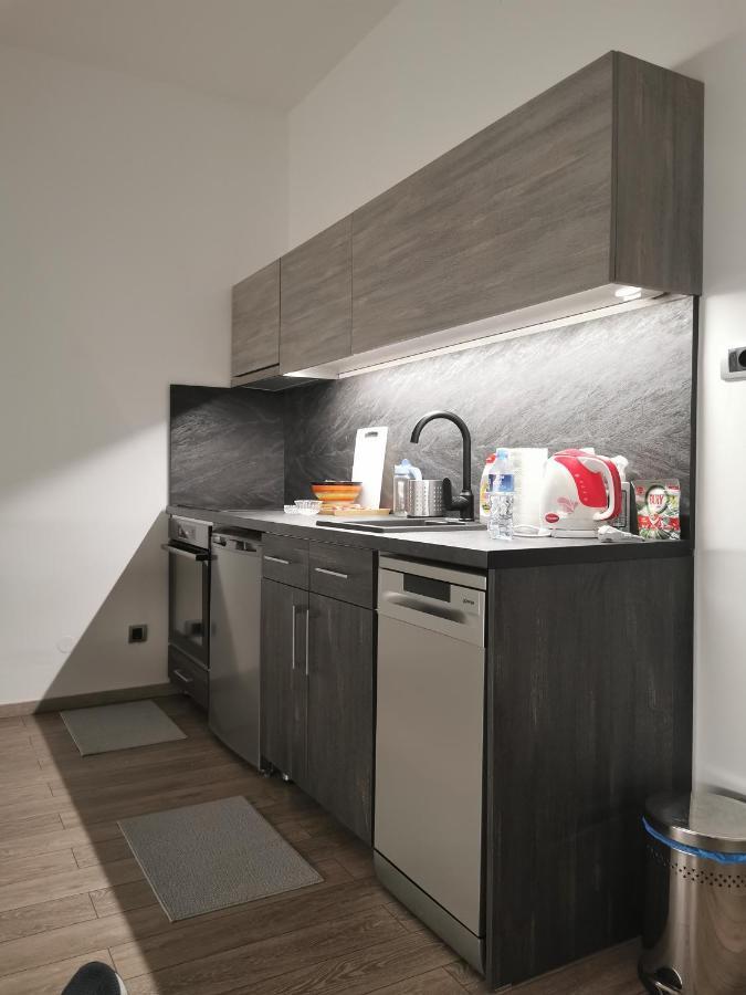 Dedinje Apartman Pavlovic 1 מראה חיצוני תמונה